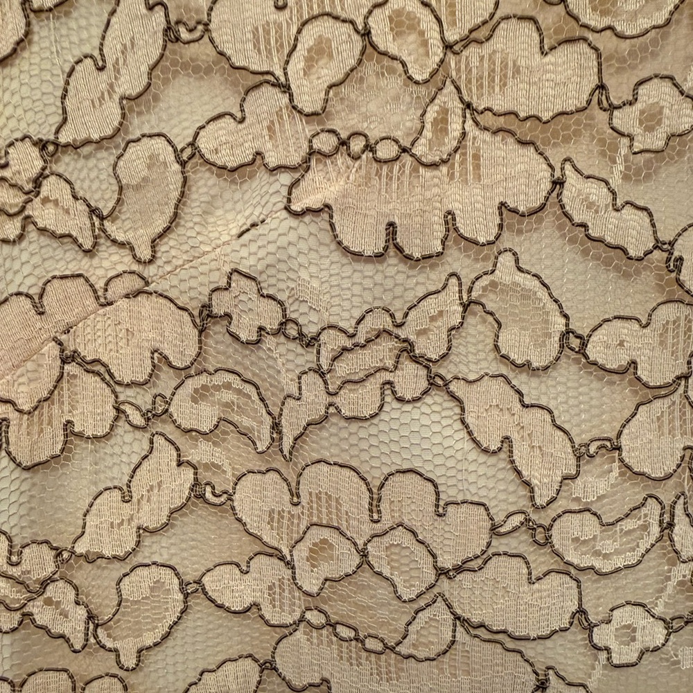 Vintage '60s Lace Overlay Dress in Cream - Picture 2 of 6